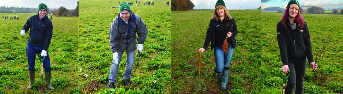 Tree planting event with the Woodland Trust - the team at work