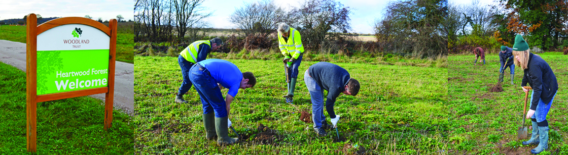 Tree planting event with the Woodland Trust - the action