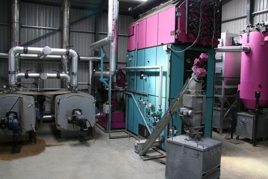 Polytechnik industrial biomass boiler